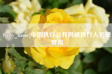 阿克苏中国执行公开网被执行人名单查询