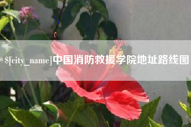 阿克苏中国消防救援学院地址路线图