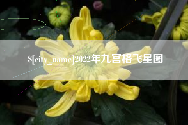 阿克苏2022年九宫格飞星图