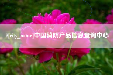 阿克苏中国消防产品信息查询中心