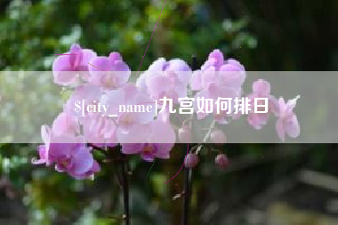 阿克苏九宫如何排日