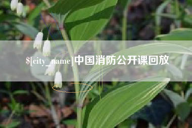 阿克苏中国消防公开课回放