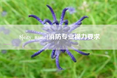 阿克苏消防专业视力要求