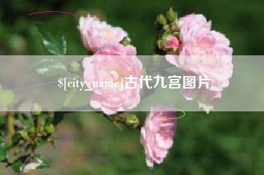阿克苏古代九宫图片