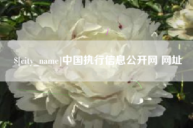 阿克苏中国执行信息公开网 网址