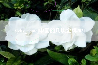 阿克苏中国的几块金牌2021