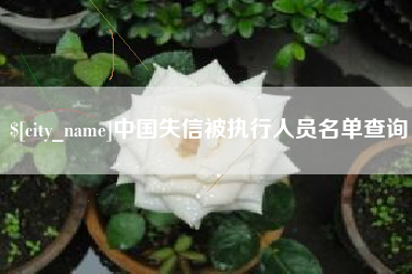 阿克苏中国失信被执行人员名单查询
