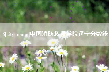 阿克苏中国消防救援学院辽宁分数线