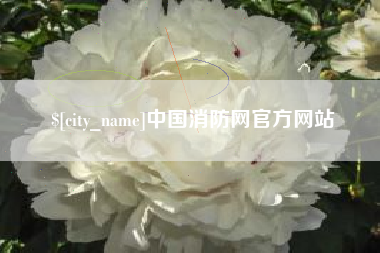 阿克苏中国消防网官方网站