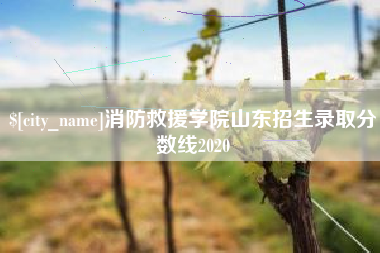 阿克苏消防救援学院山东招生录取分数线2020