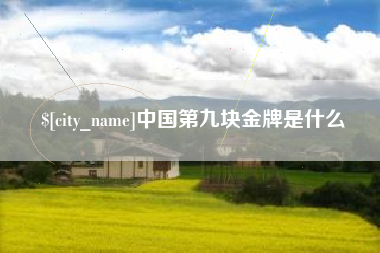 阿克苏中国第九块金牌是什么
