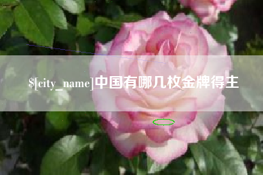 阿克苏中国有哪几枚金牌得主