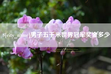 阿克苏男子五千米世界冠军奖金多少