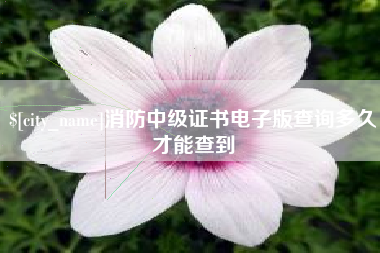 阿克苏消防中级证书电子版查询多久才能查到