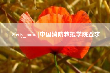 阿克苏中国消防救援学院要求