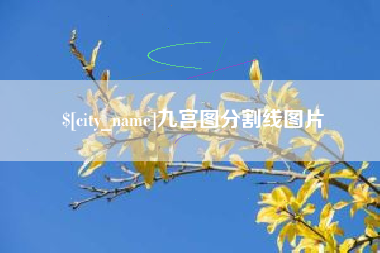 阿克苏九宫图分割线图片