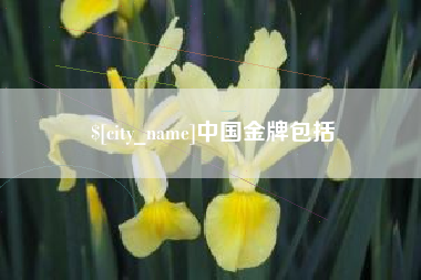 阿克苏中国金牌包括