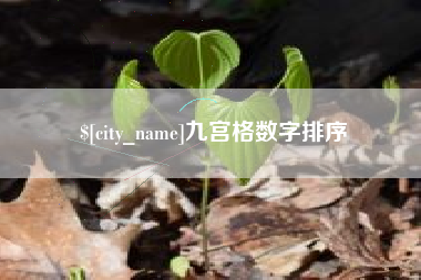 阿克苏九宫格数字排序