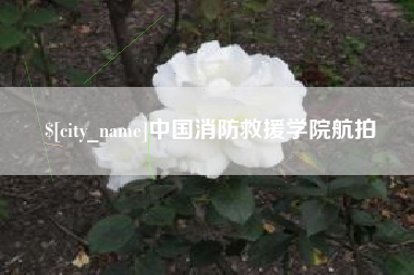 阿克苏中国消防救援学院航拍