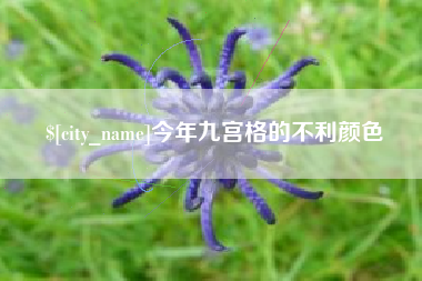 阿克苏今年九宫格的不利颜色