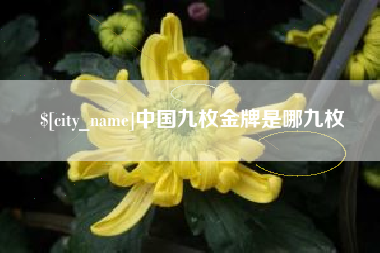 阿克苏中国九枚金牌是哪九枚