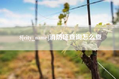 阿克苏消防证查询怎么查