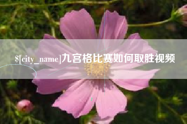 阿克苏九宫格比赛如何取胜视频