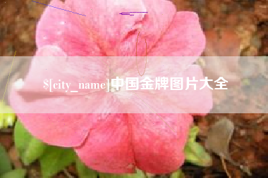 阿克苏中国金牌图片大全