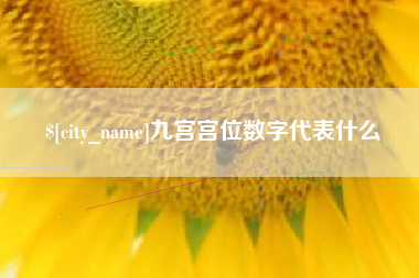 阿克苏九宫宫位数字代表什么