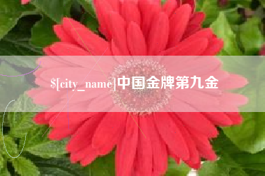 阿克苏中国金牌第九金