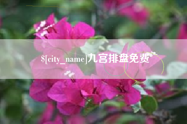 阿克苏九宫排盘免费