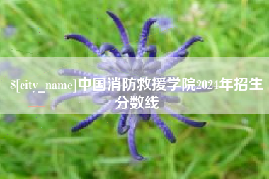 阿克苏中国消防救援学院2024年招生分数线