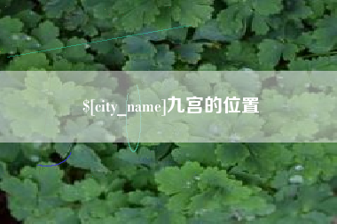 阿克苏九宫的位置