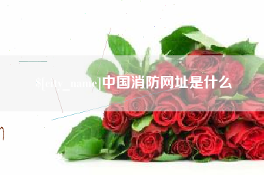 阿克苏中国消防网址是什么