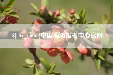 阿克苏中国消防报考中心官网