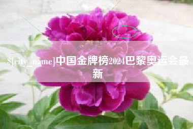 阿克苏中国金牌榜2024巴黎奥运会最新