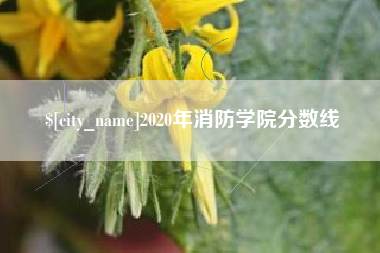 阿克苏2020年消防学院分数线