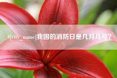 阿克苏我国的消防日是几月几号？