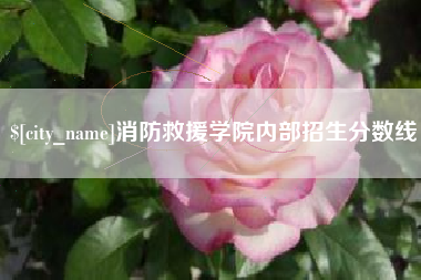 阿克苏消防救援学院内部招生分数线