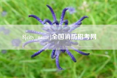 阿克苏全国消防招考网