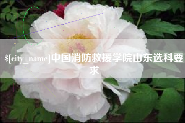 阿克苏中国消防救援学院山东选科要求