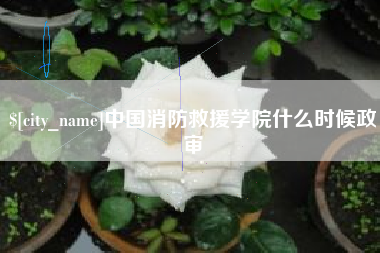 阿克苏中国消防救援学院什么时候政审
