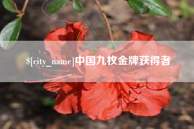 阿克苏中国九枚金牌获得者