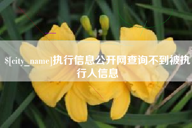 阿克苏执行信息公开网查询不到被执行人信息