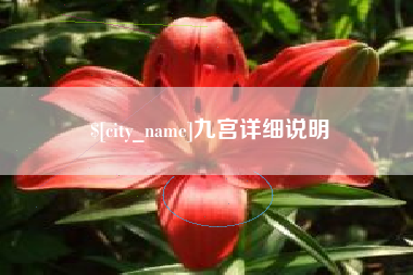 阿克苏九宫详细说明