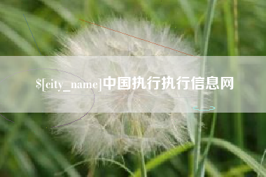 阿克苏中国执行执行信息网