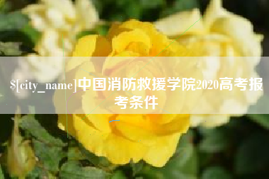 阿克苏中国消防救援学院2020高考报考条件