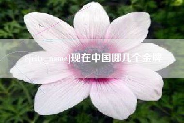阿克苏现在中国哪几个金牌