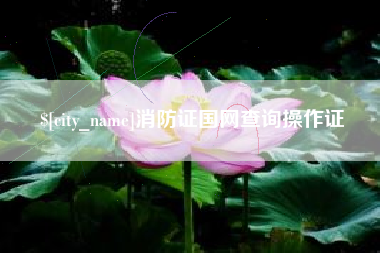 阿克苏消防证国网查询操作证