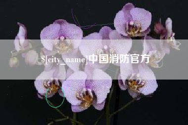 阿克苏中国消防官方